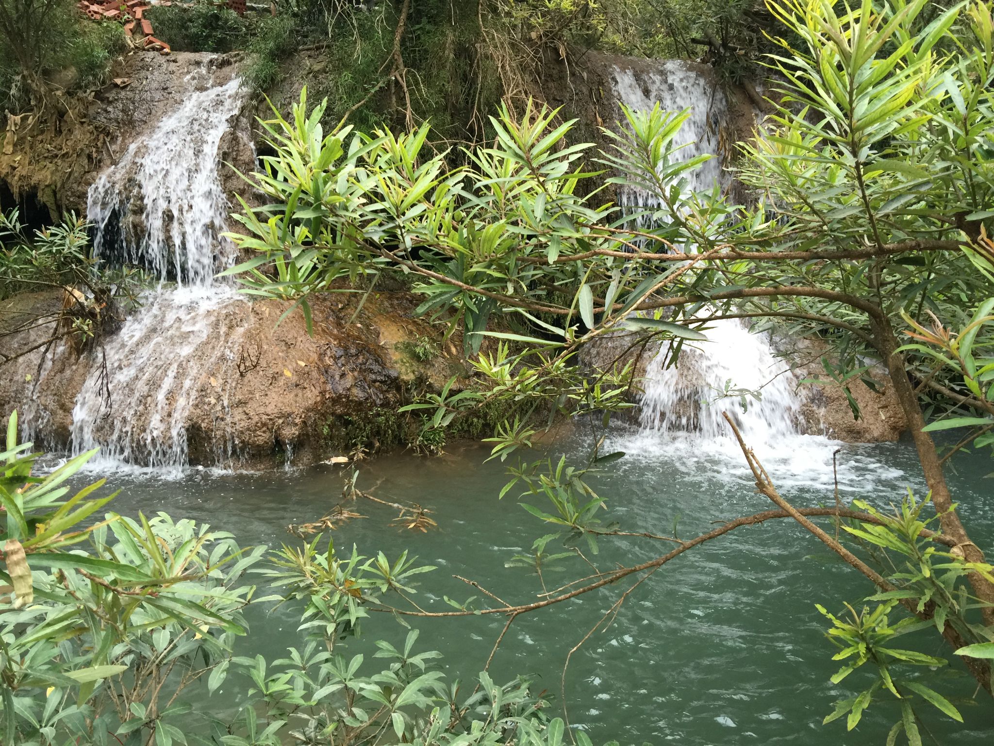 IMG 0983